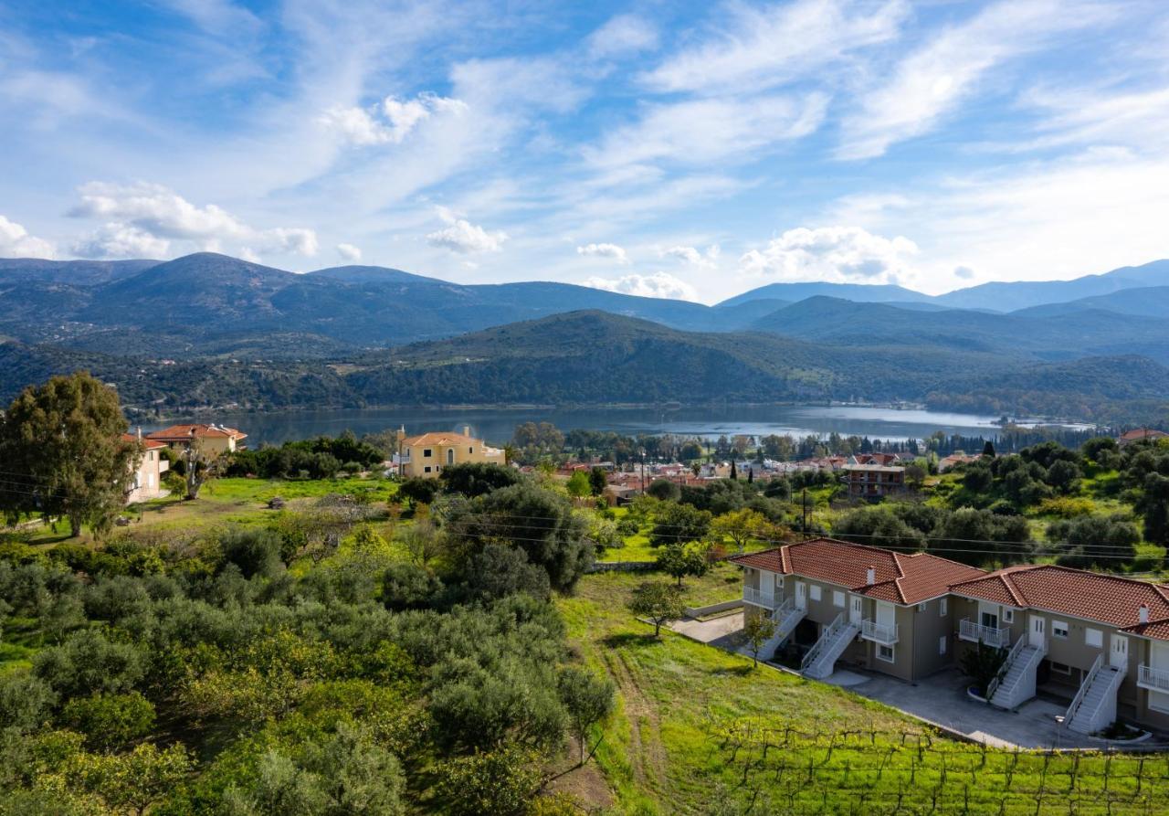 Apaggio Di Argostoli Apartments - Private Parking & Sea View Bagian luar foto
